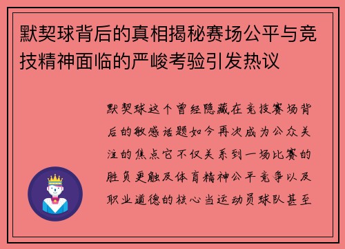 默契球背后的真相揭秘赛场公平与竞技精神面临的严峻考验引发热议